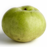 Variedad De Manzana Para La Elaboración De Sidra De Nombre: REGONA