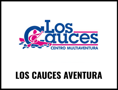 LOS CAUCES SAAL 2026